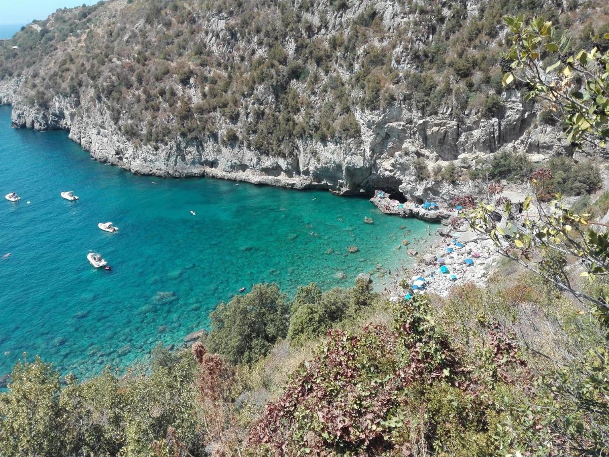 Casa Lorella Bed & Breakfast Massa Lubrense Dış mekan fotoğraf